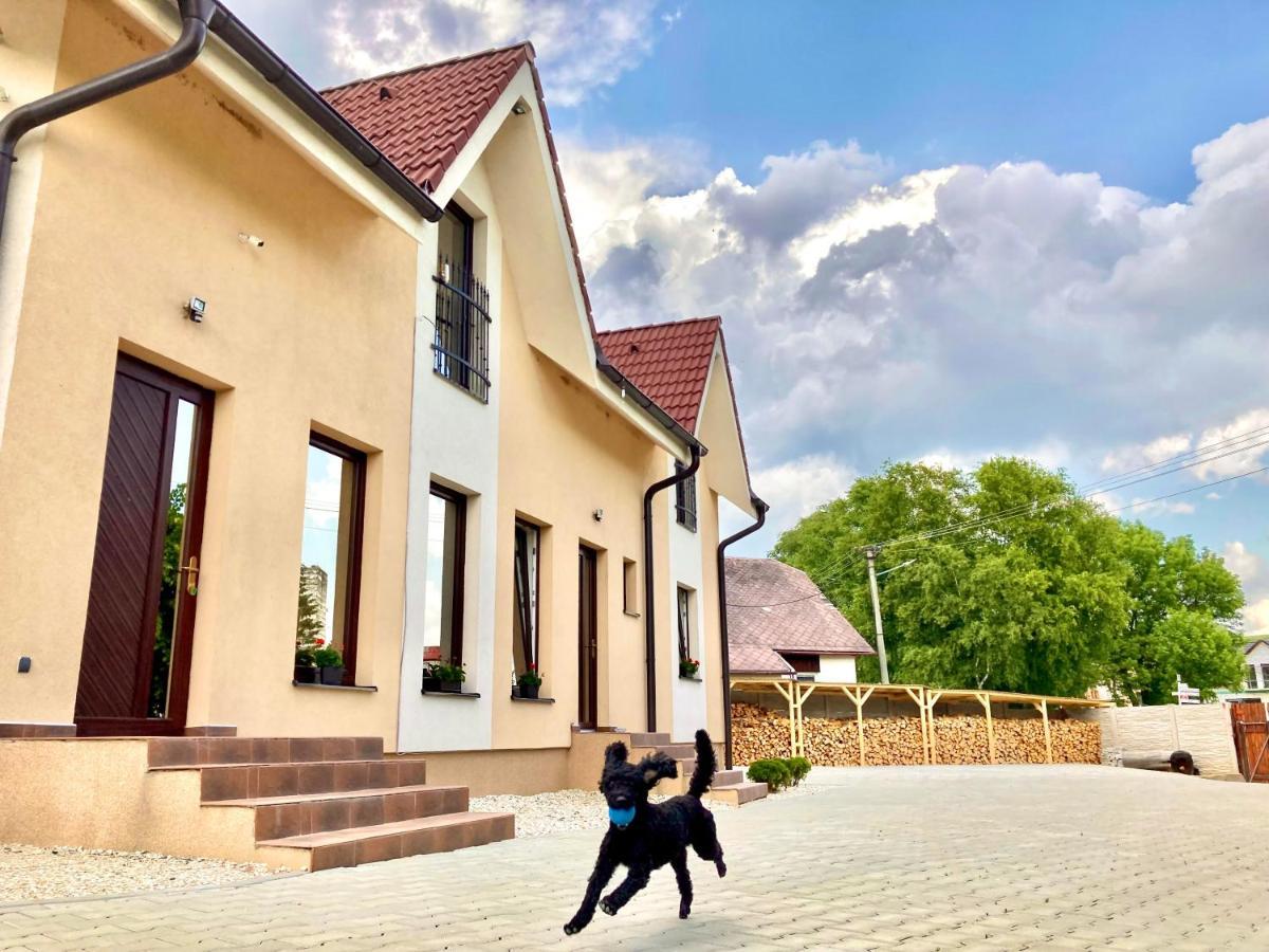 Vila Lesana Nová Lesná Exteriér fotografie