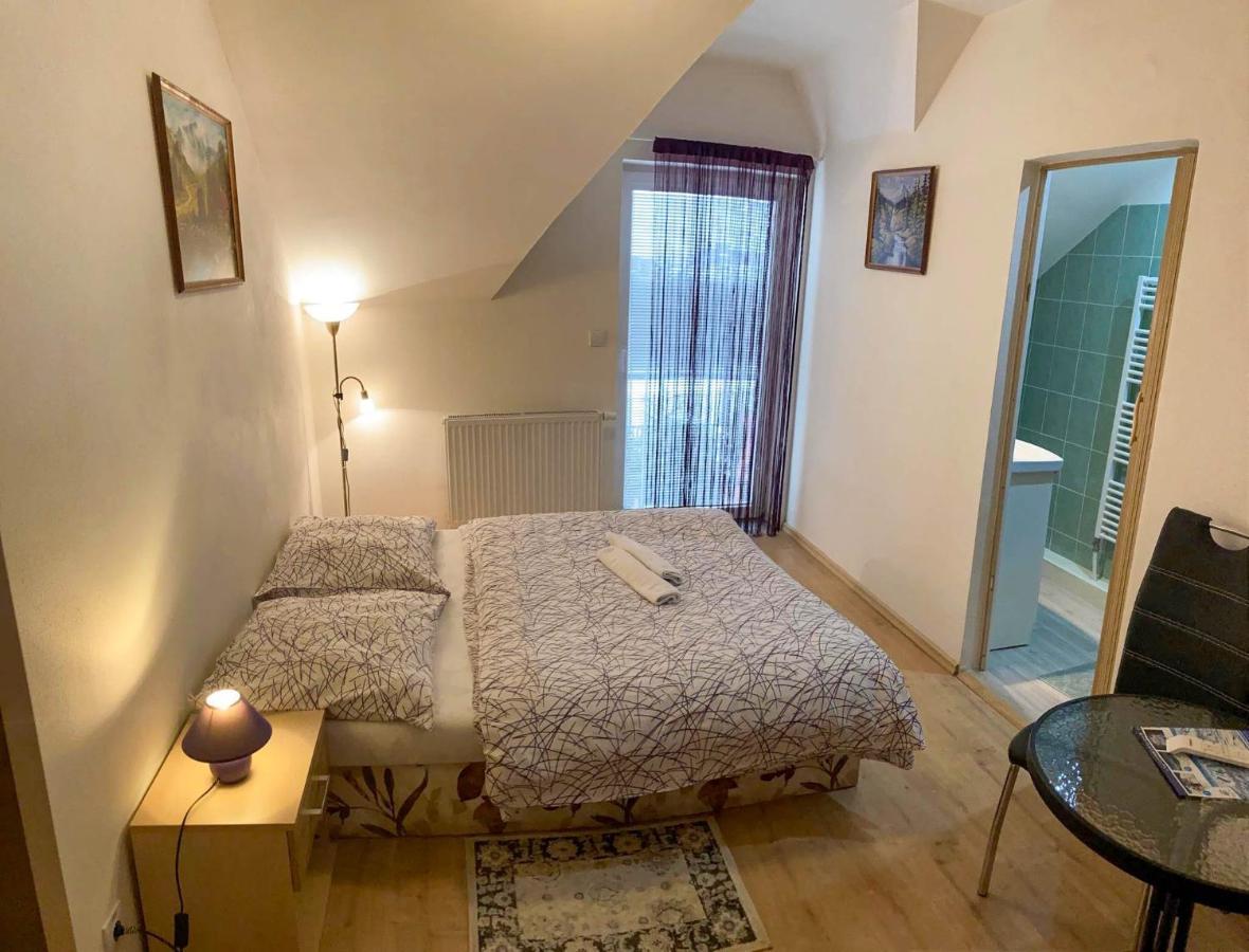 Vila Lesana Nová Lesná Exteriér fotografie
